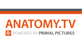 Logo Anatomy.tv