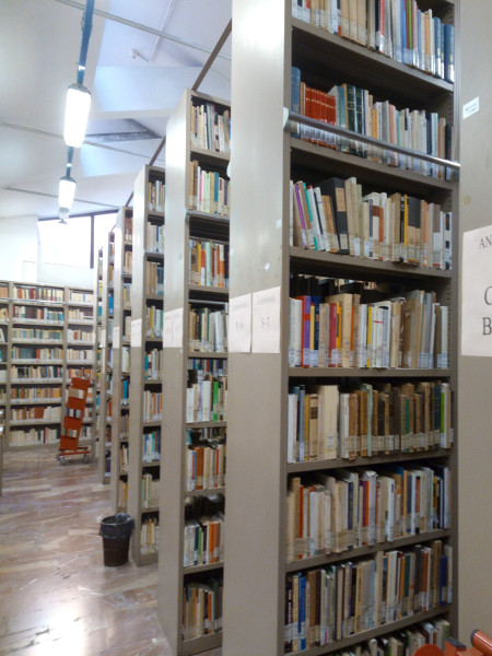 Biblioteca di Antropologia e Pedagogia Scaffali con materiale librario 